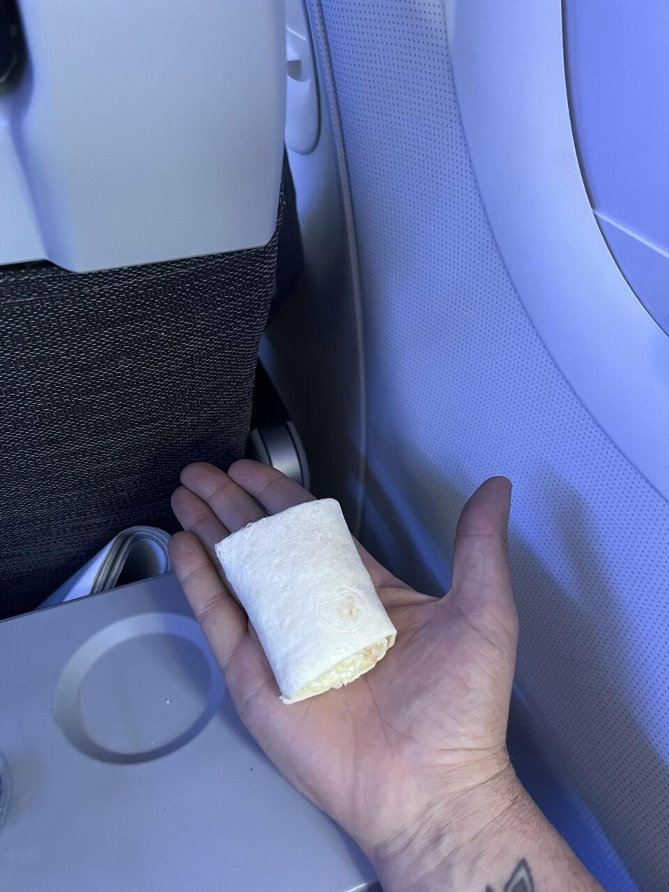 Турист получил за 7-часовой полет всего один сэндвич и удивился его размеру