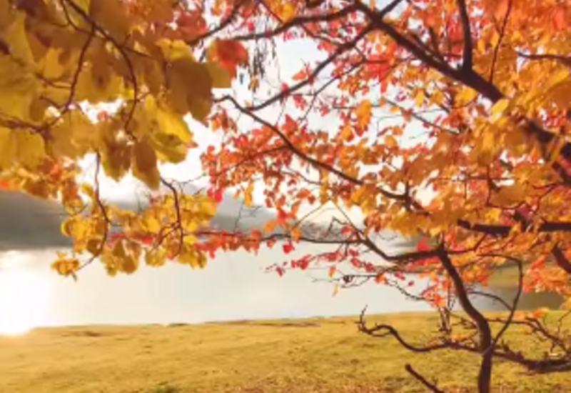 Золотая осень в Лянкяране
