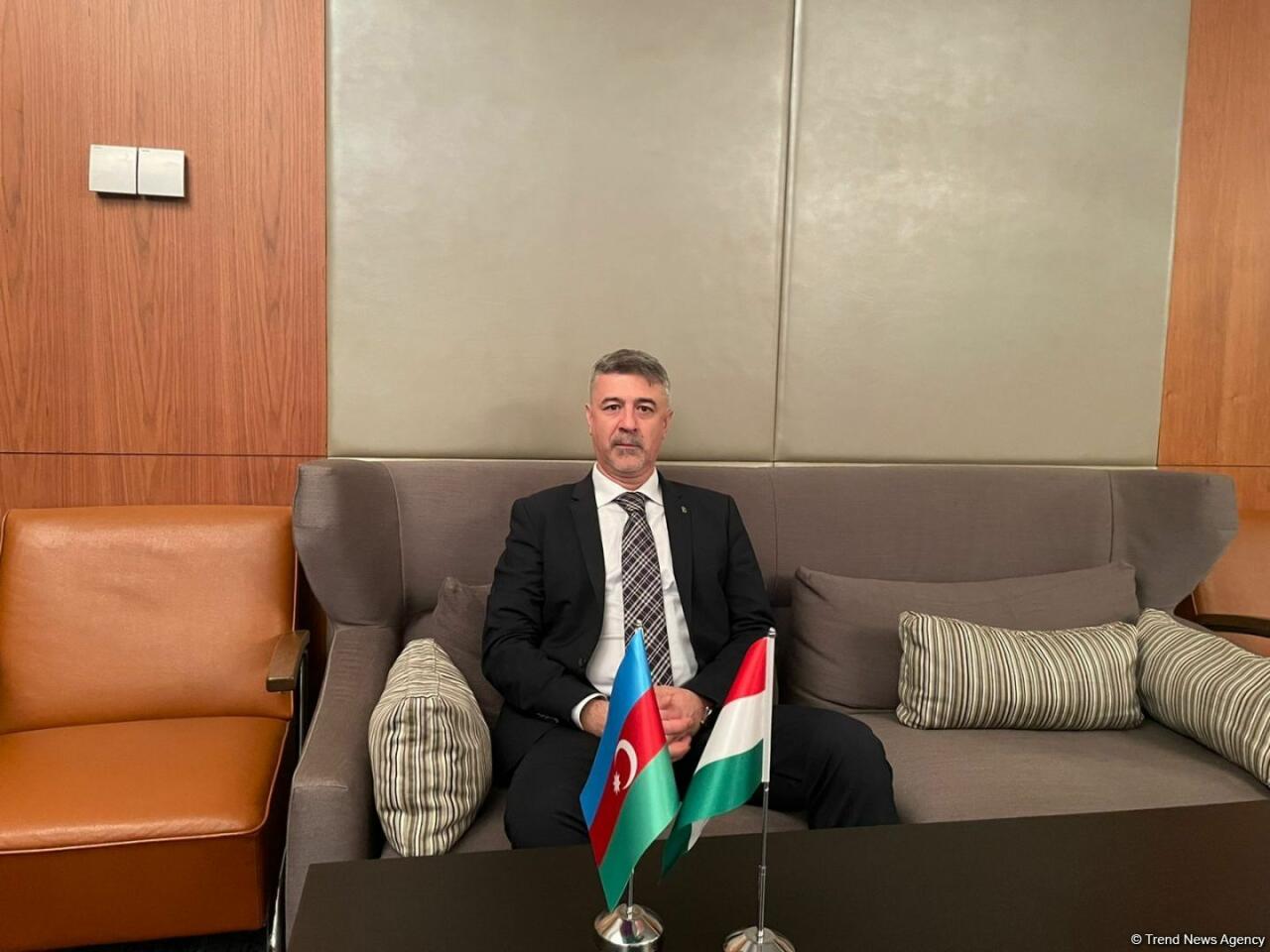 Венгерские компании начали переговоры по импорту азербайджанского газа