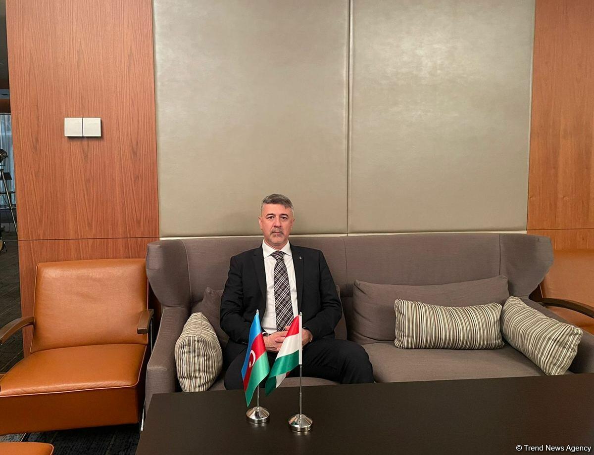 Венгерские компании начали переговоры по импорту азербайджанского газа