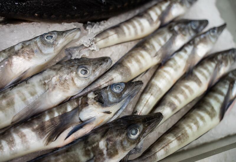 Более 27 тонн рыбы отправили из Ростовской области РФ в Азербайджан