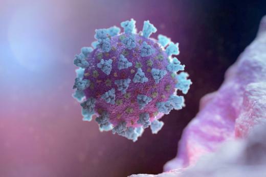 ВОЗ призывает усилить контроль в связи с новым штаммом коронавируса