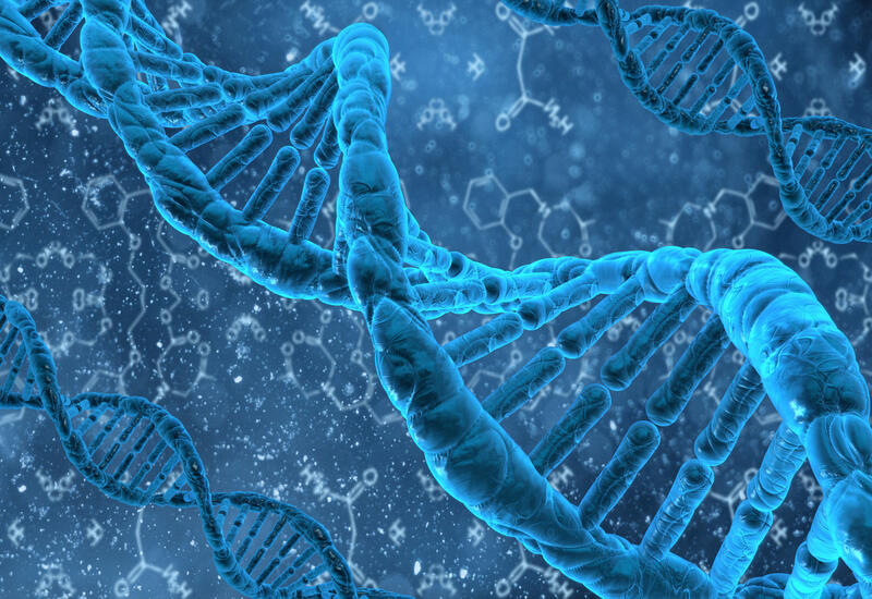 Ученые нашли способ борьбы с ДНК-вирусами