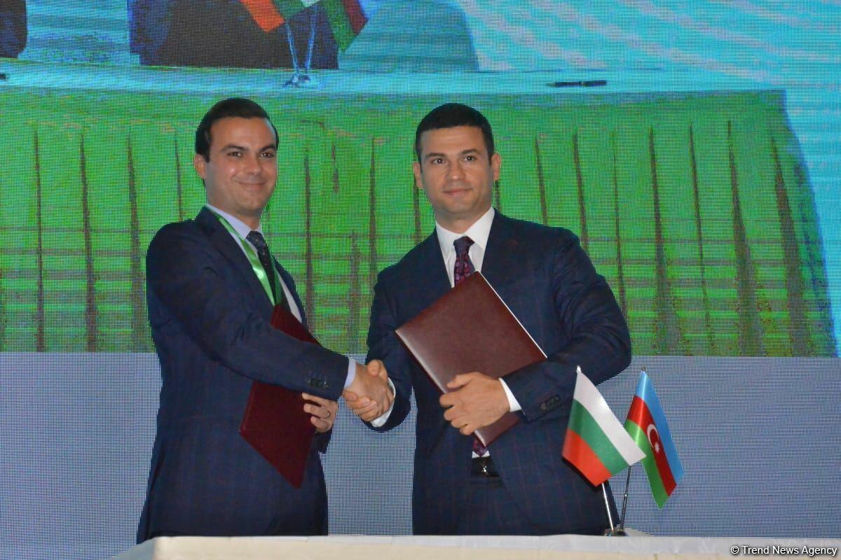 Агентства по развитию МСП Азербайджана и Болгарии подписали меморандум о взаимопонимании