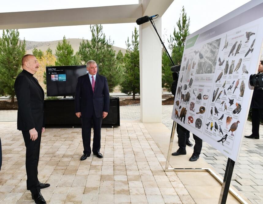 Президент Ильхам Алиев ознакомился с условиями, созданными в агропарке "Шеки-Огуз"