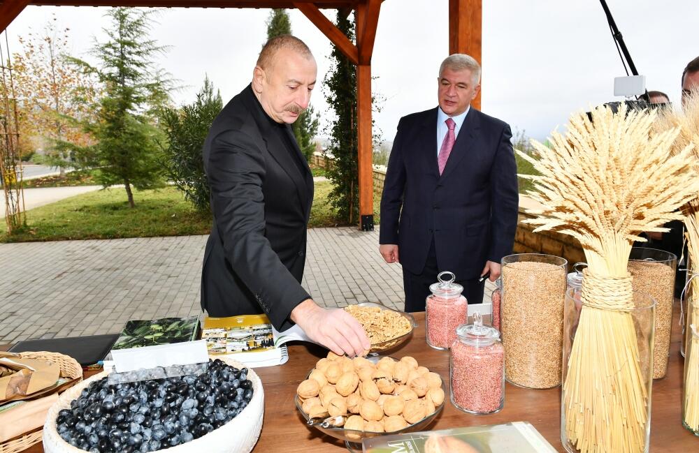 Президент Ильхам Алиев ознакомился с условиями, созданными в агропарке "Шеки-Огуз"