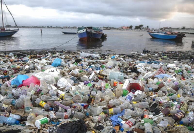 Борьба с пластиковыми отходами: ООН готовит глобальное соглашение