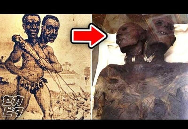 В Южной Америке найдена мумия человекообразного гиганта