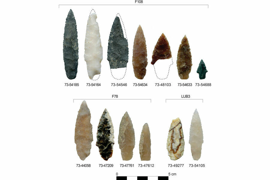 В США нашли древнейшие каменные наконечники дротиков возрастом 15 тыс. лет