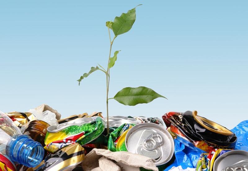 Эколог перечислила самые вредные бытовые отходы