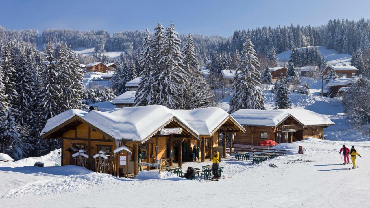 Экоактивисты повредили снегогенераторы в Альпах