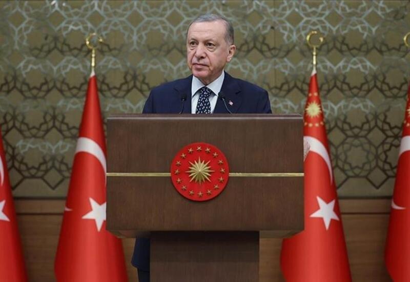 Эрдоган призвал к отказу от двойных стандартов в борьбе с терроризмом