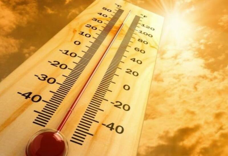 2022 год вошел в пятерку самых теплых в истории
