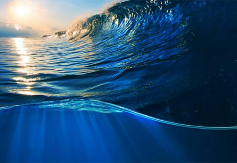 Мировой океан установил новый рекорд по количеству поглощенного тепла