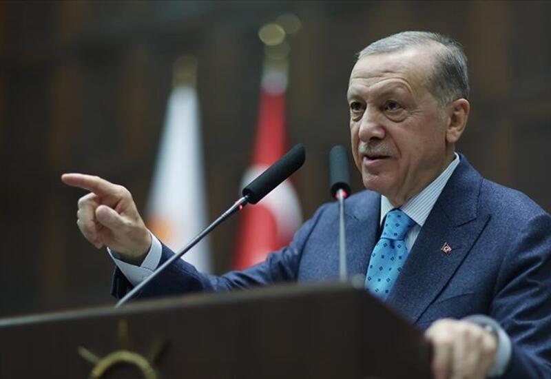 Турция достигает целей вопреки давлению и кризисам