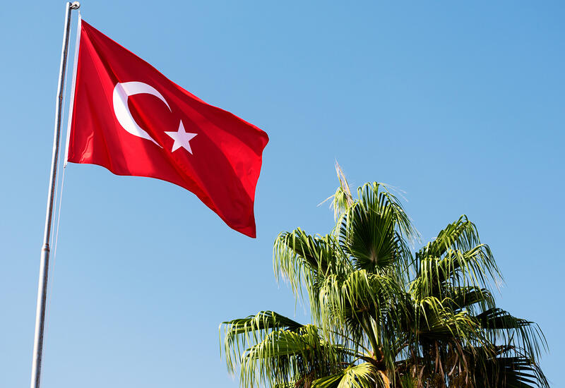 В МИД Турции вызвали посла Швеции