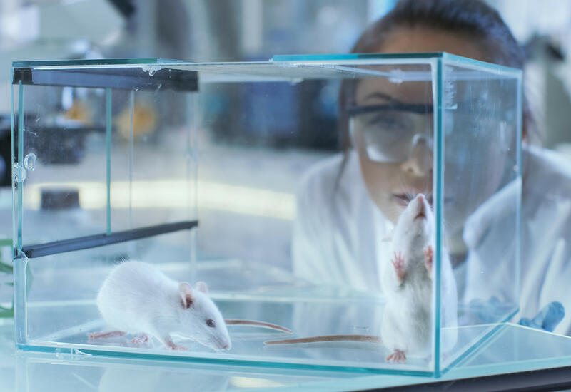 Влияние полового признака