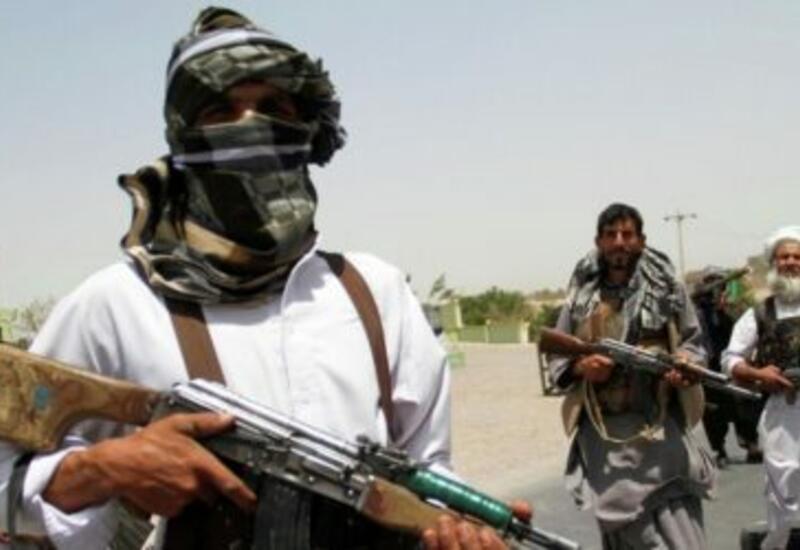 Талибы призвали Нидерланды наказать экстремиста, осквернившего Коран