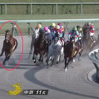 В Японии скаковая лошадь без жокея выиграла гонку