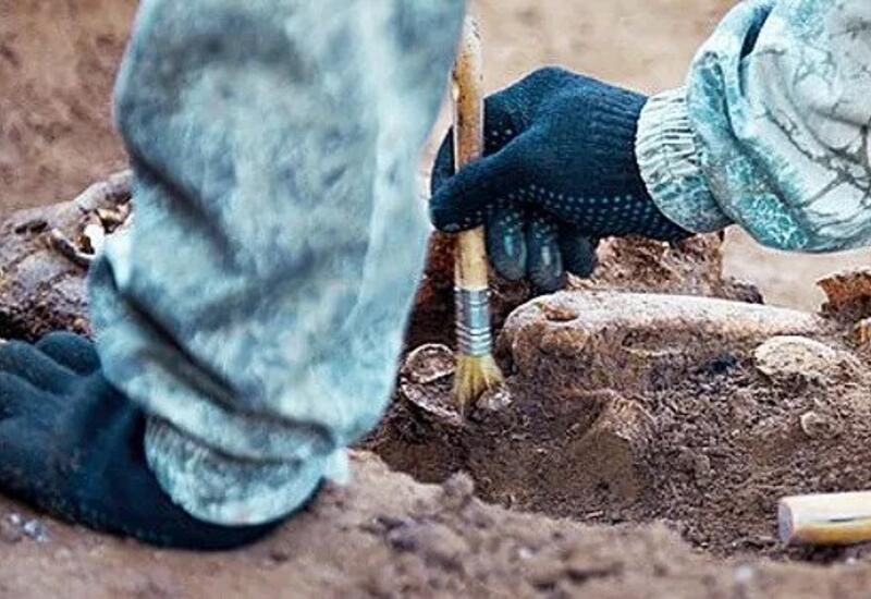 Обнаружены самые ранние на севере Великобритании человеческие останки