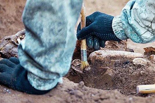 Обнаружены самые ранние на севере Великобритании человеческие останки