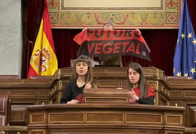 В Испании экоактивисты приклеили себя к микрофонам на трибуне в парламенте