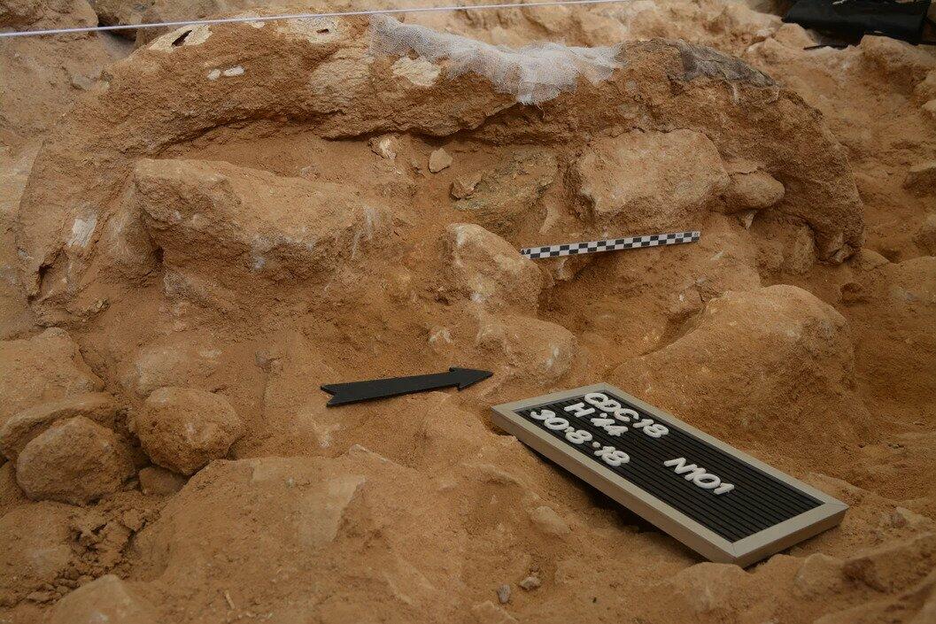В пещере неандертальцев обнаружили коллекцию черепов