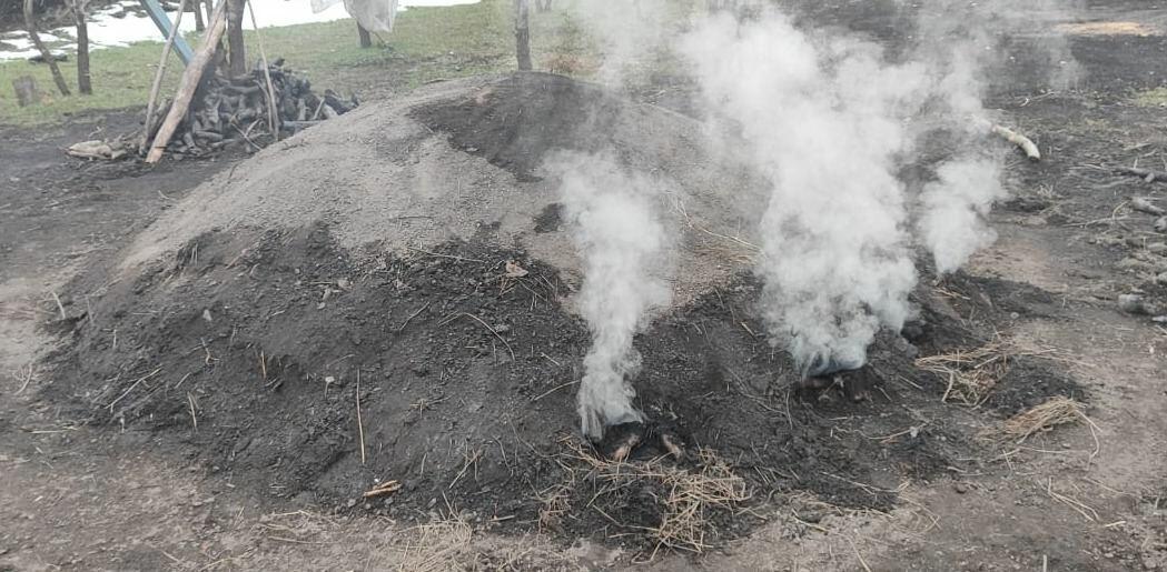 В Губе, Габале и Исмаиллы выявлены незаконные угольные скважины