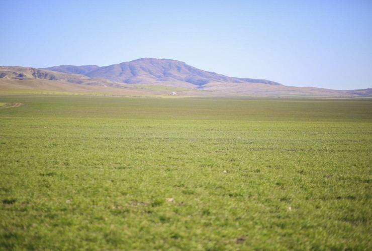 Земельные участки в ряде районов Азербайджана определены как территории ВИЭ