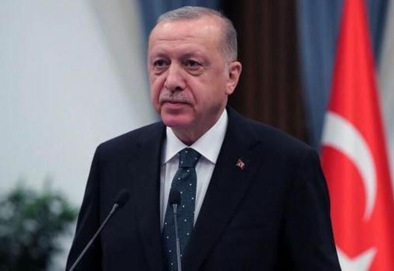Эрдоган опубликовал фото беспилотника Bayraktar Kizilelma