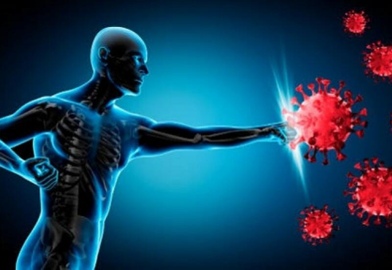 Что способствует укреплению иммунитета?