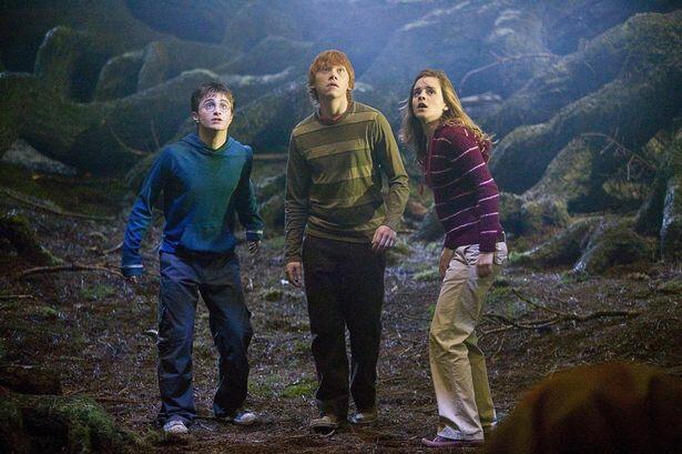 Warner Bros. снимет новый фильм о Гарри Поттере?