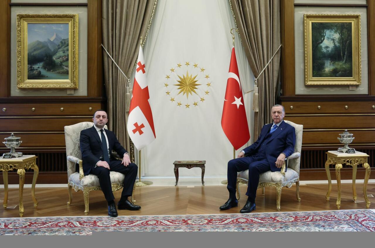 Эрдоган принял Гарибашвили