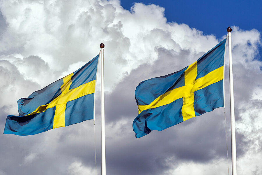 Вступление Финляндии в НАТО до Швеции осложнит сотрудничество в обороне
