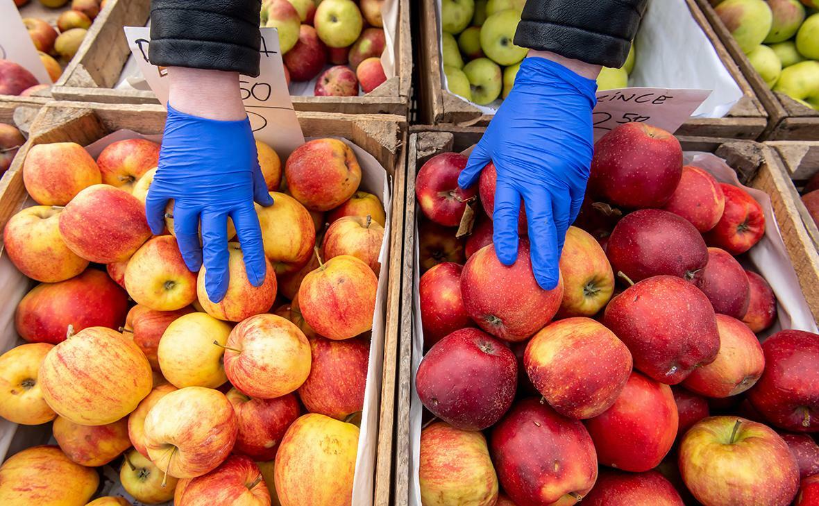 В Польше заявили о крахе рынка яблок