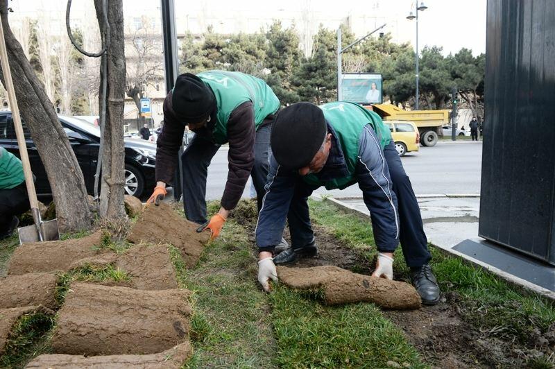 Вымыты 370 улиц Баку