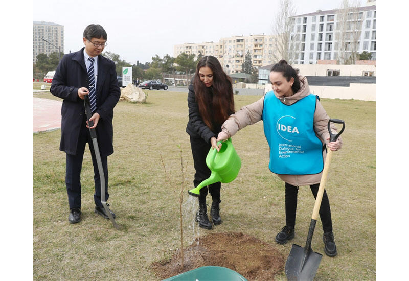 Вице-президент Фонда Гейдара Алиева Лейла Алиева приняла участие в акции по посадке деревьев 