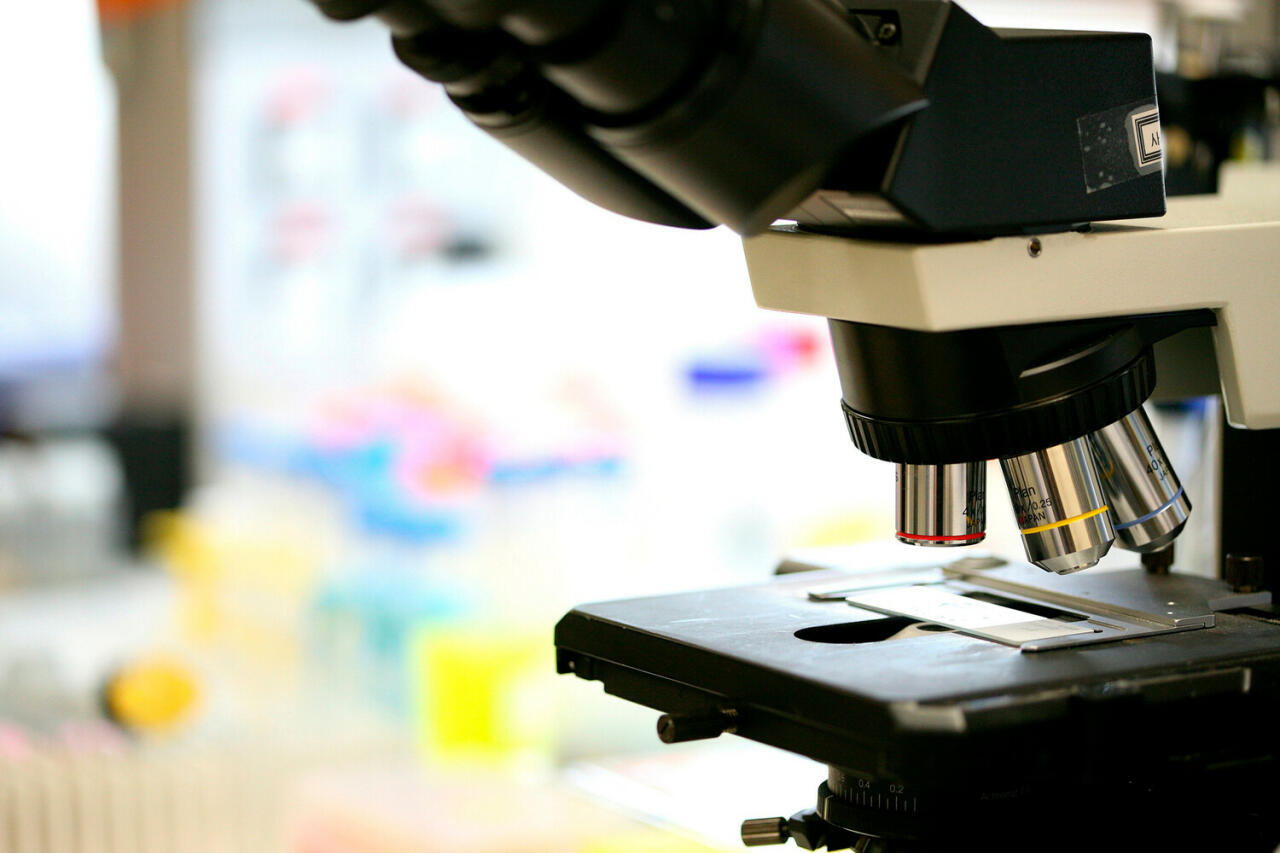 В мире растет количество биолабораторий с высоким уровнем защиты