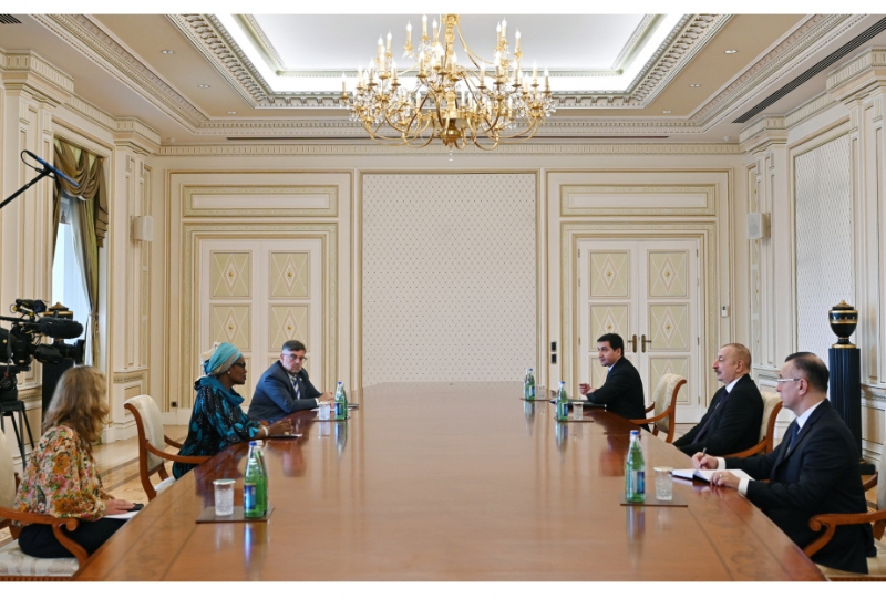 Президент Ильхам Алиев принял исполнительного директора Объединенной программы по борьбе с ВИЧ ООН