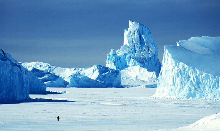 В ООН бьют тревогу из-за Антарктики