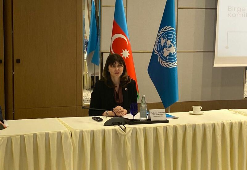 Резидент-координатор ООН о плане мероприятий в Азербайджане на текущий год