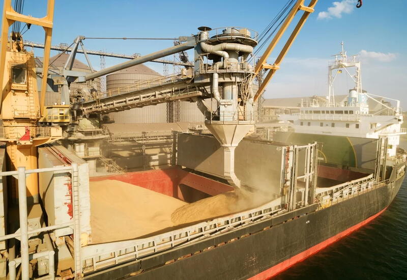 В Германии призвали Россию продлить зерновую сделку более чем на 60 дней