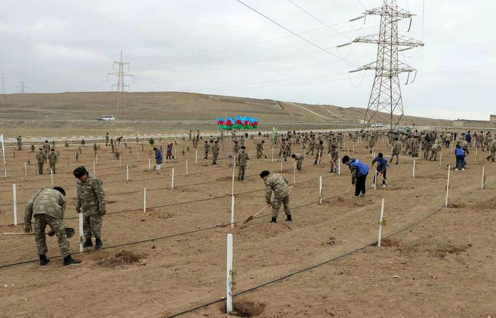 В азербайджанской армии проведены акции по посадке деревьев