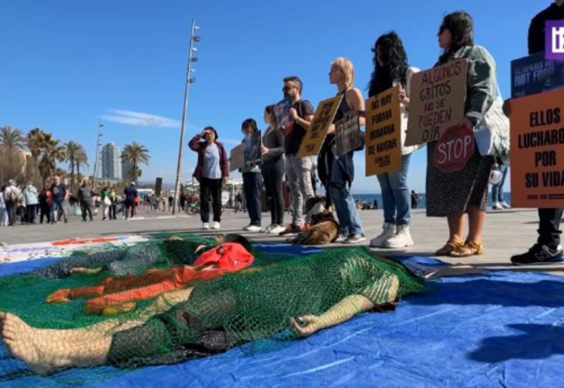 В Барселоне прошла демонстрация против открытия фермы по разведению осьминогов