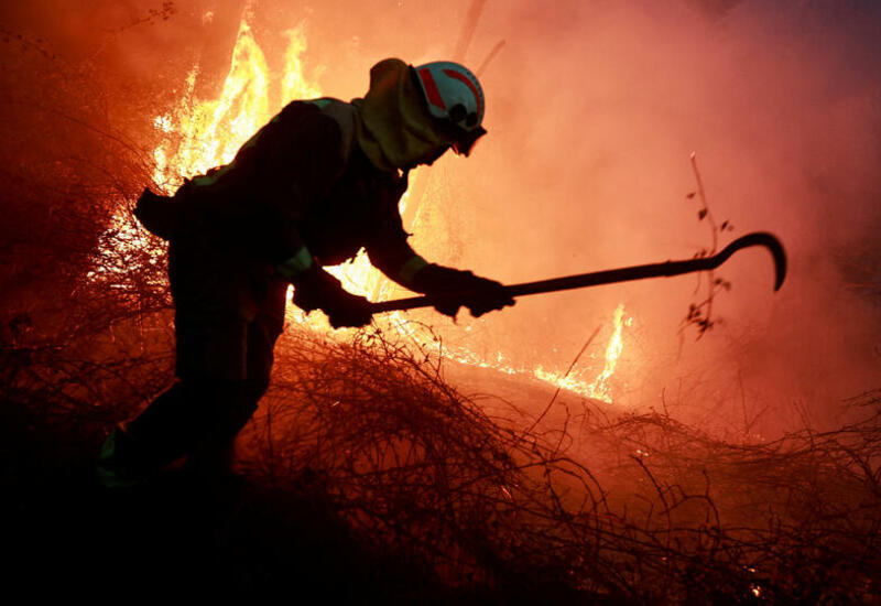 Власти Испании обвинили террористов в поджогах лесов