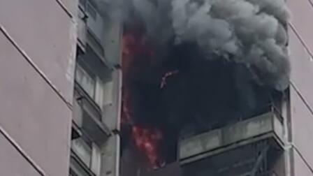 Многоэтажку в Петербурге охватило огнем