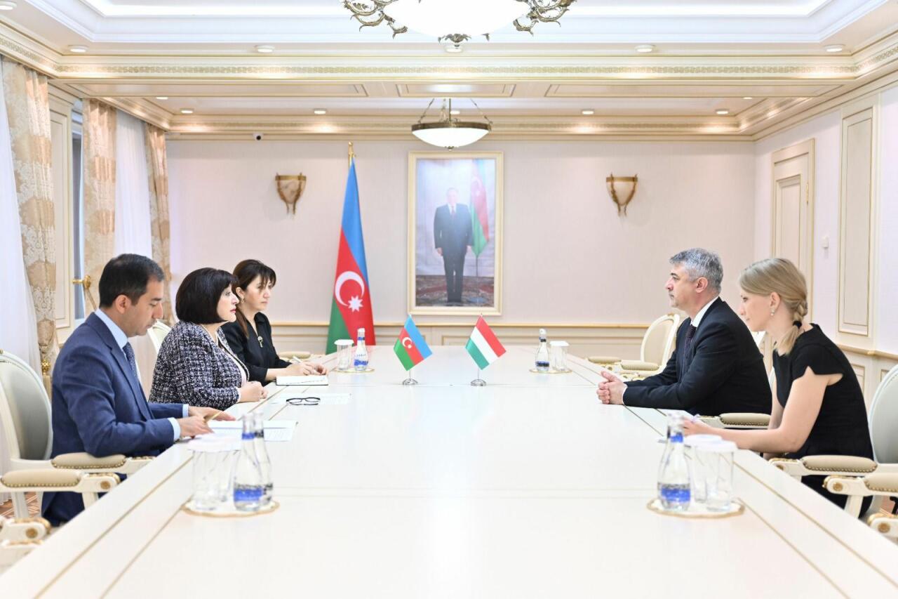 Сахиба Гафарова и посол Венгрии обсудили сотрудничество