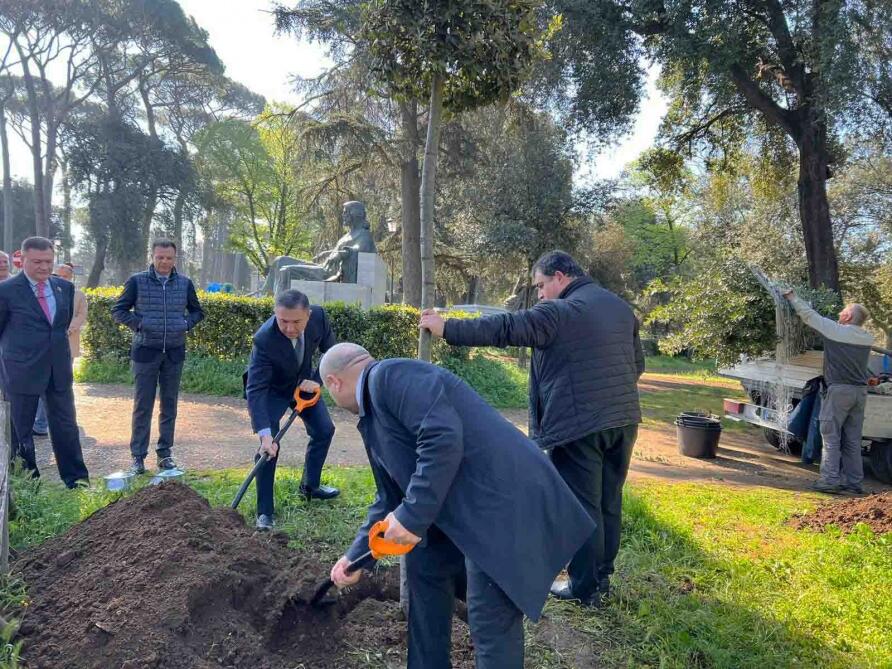 В Риме прошла акция по посадке деревьев, посвященная 100-летию со дня рождения великого лидера Гейдара Алиева