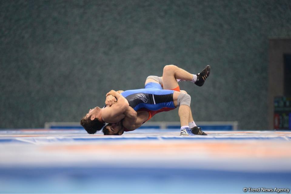 Азербайджанские борцы завоевали медали на чемпионате Европы в Загребе