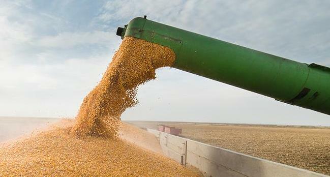 В Турции ожидают временной остановки зерновой сделки